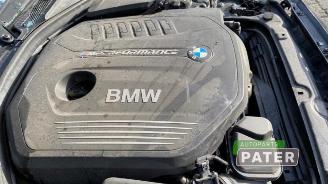 BMW M1 M1 (F20), Hatchback 5-drs, 2012 / 2019 M140i 3.0 24V picture 8