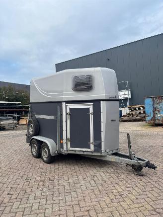 -  Titan Jelsum paardentrailer picture 2