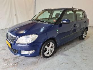 Coche accidentado Skoda Fabia 1.2 TDI Greenline 2011/10