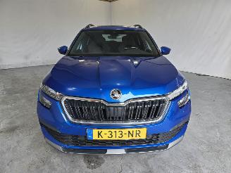 Skoda Kamiq 1.0 TSI Sport Business picture 2
