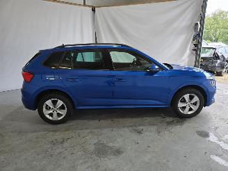 Skoda Kamiq 1.0 TSI Sport Business picture 8