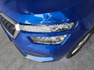 Skoda Kamiq 1.0 TSI Sport Business picture 9