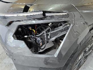 Kia Niro EV DynamicLine 64.8 kWh picture 12