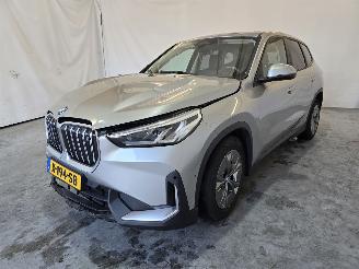 BMW iX1 xDrive30 Launch Edition 67 kWh picture 3