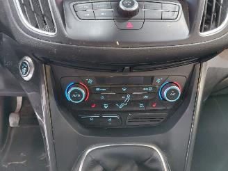 Ford C-Max 1.0 Titanium picture 31