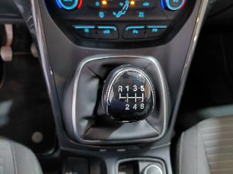 Ford C-Max 1.0 Titanium picture 30