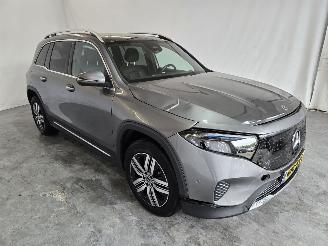 uszkodzony samochody osobowe Mercedes EQB 250+ Luxury Line 2024/10