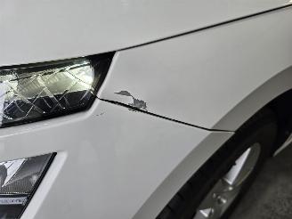 Skoda Kamiq 1.0 TSI Sport Business picture 10
