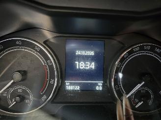 Skoda Kamiq 1.0 TSI Sport Business picture 23