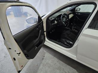 Skoda Kamiq 1.0 TSI Sport Business picture 22