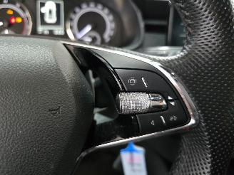 Skoda Kamiq 1.0 TSI Sport Business picture 30