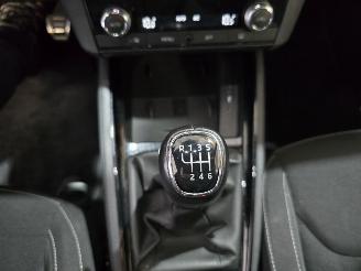 Skoda Kamiq 1.0 TSI Sport Business picture 34