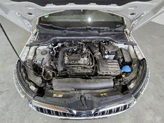 Skoda Kamiq 1.0 TSI Sport Business picture 16