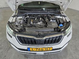 Skoda Kamiq 1.0 TSI Sport Business picture 15