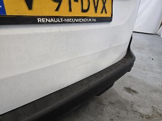 Renault Kangoo VAN picture 12