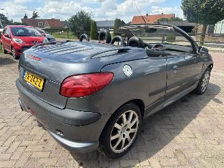 Peugeot 206 2.0-16V picture 8