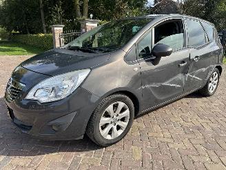 Opel Meriva 1.4 Turbo Cosmo LPG picture 11