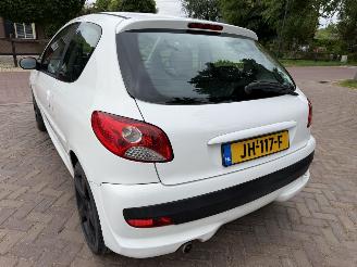 Peugeot 206+ 1.4 Millesim 200 picture 10