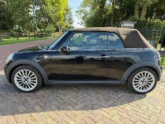 Mini Cabrio 1.6 Cooper Chili picture 2