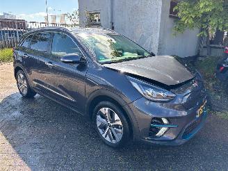 Kia e-Niro Clima/leer/pdc/navi picture 2