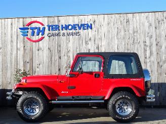 Damaged car Jeep Wrangler YJ 4.0L 4X4 2-Persoons Lier 136KW 1994/1