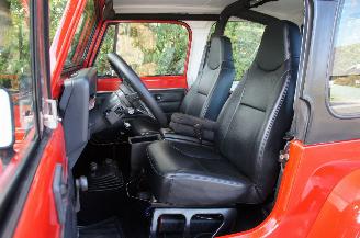 Jeep Wrangler YJ 4.0L 4X4 2-Door Sport Utility Lier Trekhaak 136KW picture 9