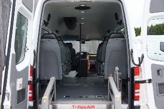 Mercedes Sprinter 313 CDi Rolstoellift Elektrische deur Triflex Air 95KW Euro 5 picture 10