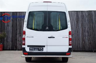 Mercedes Sprinter 313 CDi Rolstoellift Elektrische deur Triflex Air 95KW Euro 5 picture 9