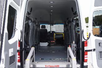 Mercedes Sprinter 313 CDi L2H2 Rollstoellift TriFlex Air Elektrische deur 95KW Euro 5 picture 11