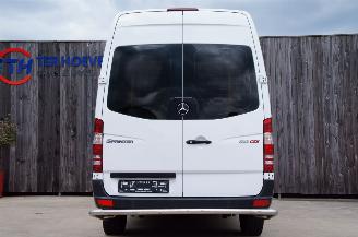 Mercedes Sprinter 313 CDi L2H2 Rollstoellift TriFlex Air Elektrische deur 95KW Euro 5 picture 9