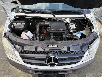 Mercedes Sprinter 313 CDi Flexi Trans Rollstuhl 95KW Eur5 picture 44