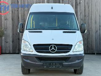 Mercedes Sprinter 313 CDi Flexi Trans Rollstuhl 95KW Eur5 picture 2