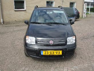 Fiat Panda 1.2 Edizione Cool NAP picture 2