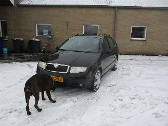 Skoda Fabia Combi 1.4-16V Spirit picture 3