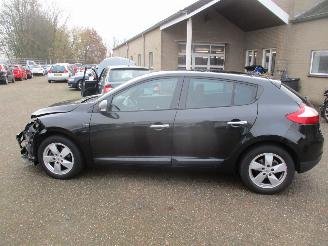 Renault Mégane 2.0 Dynmique Aut NAP picture 4