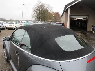 Volkswagen New-beetle 1.4-16V Trendline picture 29