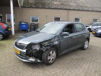 Skoda Fabia 1.0 TSI Monte Carlo REST BPM €250,-!!! picture 3