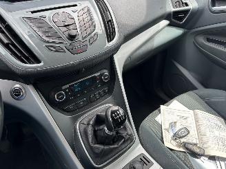 Ford Grand C-Max 1.6 TDCi Titanium 7p picture 11