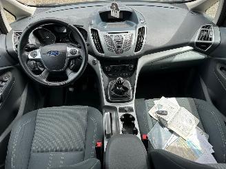 Ford Grand C-Max 1.6 TDCi Titanium 7p picture 16