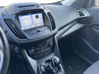 Ford Kuga 1.5 EcoBoost ST Line picture 12