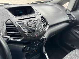 Ford EcoSport 1.0 EcoBoost picture 12