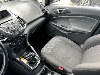 Ford EcoSport 1.0 EcoBoost picture 13