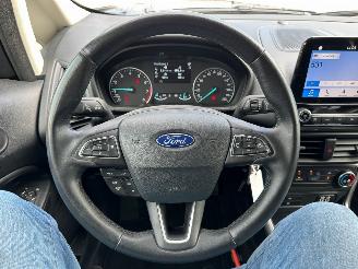 Ford EcoSport 1.0 EcoBoost Trend Ultimate picture 9