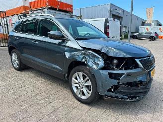 Schadeauto Skoda Karoq 1.5 TSI ACT Business Edition 2020/7