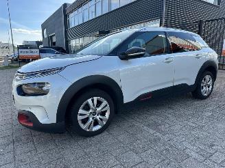 Citroën C4 cactus 1.2 PureTech Shine picture 4
