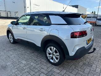 Citroën C4 cactus 1.2 PureTech Shine picture 5