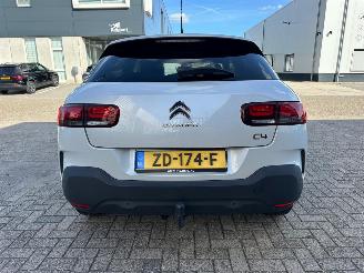 Citroën C4 cactus 1.2 PureTech Shine picture 6