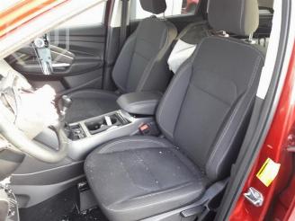 Ford Kuga Kuga II (DM2), SUV, 2012 1.5 EcoBoost 16V 120 picture 6
