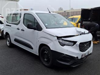 Opel Combo Combo Cargo, Van, 2018 1.2 110 picture 2