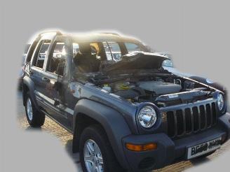 Jeep Cherokee 2.5 crd picture 4